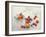 Snow still life-Dimitar Lazarov --Framed Photographic Print