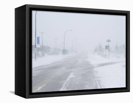 Snow Storm and Blizzard, Churchill, Hudson Bay, Manitoba, Canada, North America-Thorsten Milse-Framed Premier Image Canvas