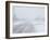 Snow Storm and Blizzard, Churchill, Hudson Bay, Manitoba, Canada, North America-Thorsten Milse-Framed Photographic Print