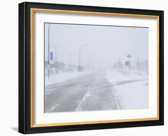 Snow Storm and Blizzard, Churchill, Hudson Bay, Manitoba, Canada, North America-Thorsten Milse-Framed Photographic Print