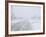 Snow Storm and Blizzard, Churchill, Hudson Bay, Manitoba, Canada, North America-Thorsten Milse-Framed Photographic Print