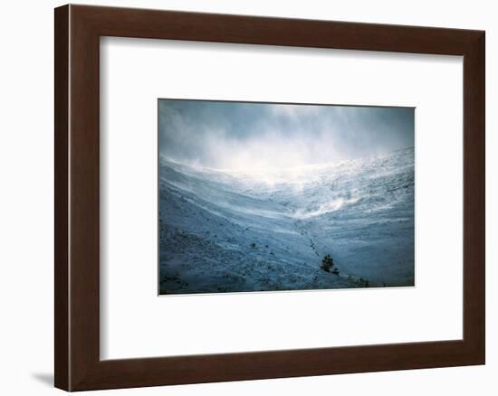 Snow storm, blowing snow on mountain in Scotland-Sue Demetriou-Framed Photographic Print