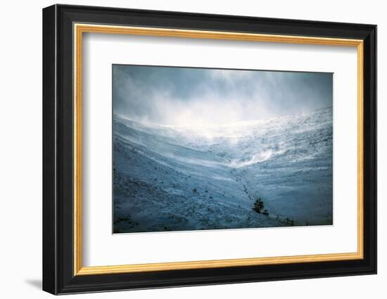 Snow storm, blowing snow on mountain in Scotland-Sue Demetriou-Framed Photographic Print