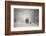 Snow storm charm-stanislav hricko-Framed Photographic Print