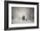 Snow storm charm-stanislav hricko-Framed Photographic Print