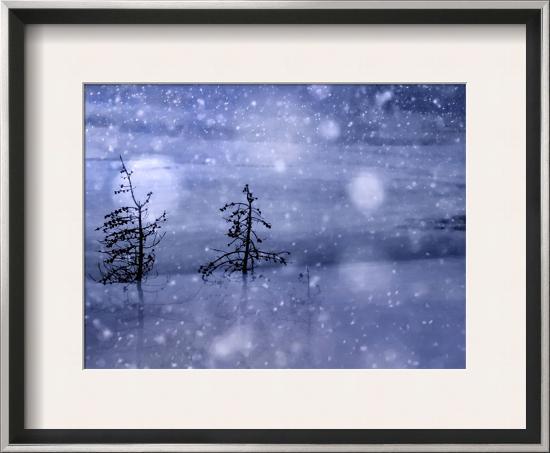 Snow Storm-Ursula Abresch-Framed Art Print