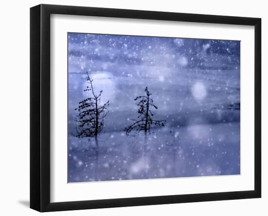 Snow Storm-Ursula Abresch-Framed Photographic Print