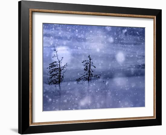 Snow Storm-Ursula Abresch-Framed Photographic Print