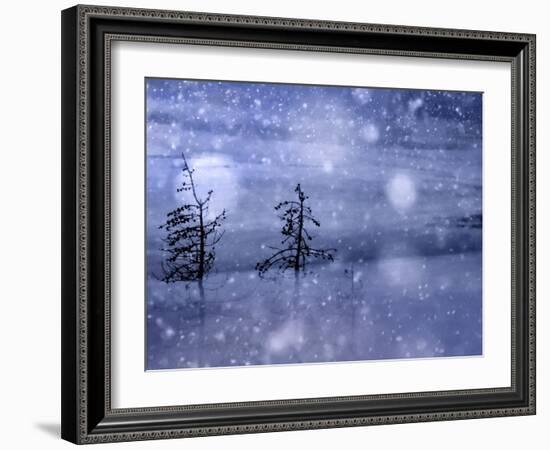 Snow Storm-Ursula Abresch-Framed Photographic Print