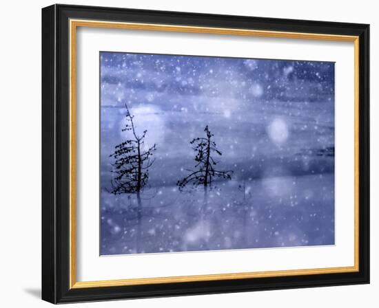 Snow Storm-Ursula Abresch-Framed Photographic Print