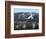 Snow Summit Ski Area in Big Bear Lake, California, Struggles to Make Artificial Snow-Adrienne Helitzer-Framed Photographic Print