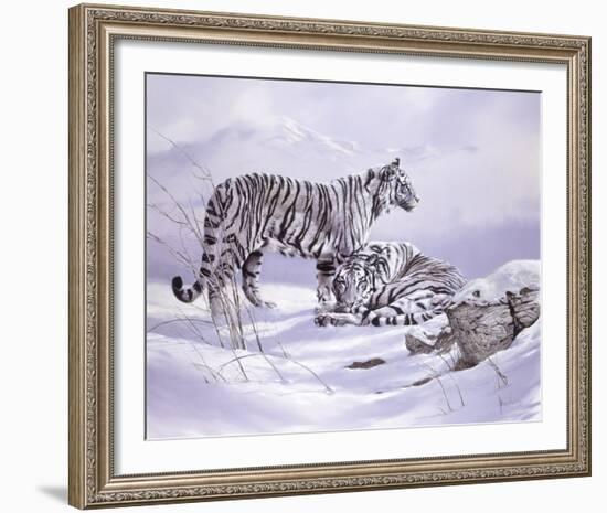 Snow Tigers-Spencer Hodge-Framed Giclee Print