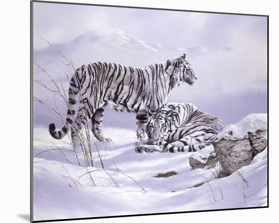 Snow Tigers-Spencer Hodge-Mounted Giclee Print