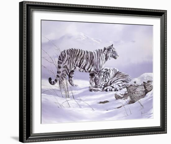 Snow Tigers-Spencer Hodge-Framed Giclee Print