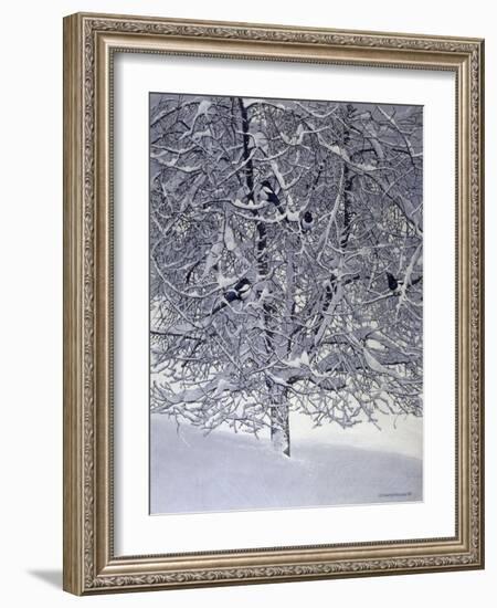 Snow Tree with Magpies-Harro Maass-Framed Giclee Print