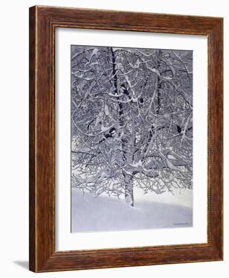 Snow Tree with Magpies-Harro Maass-Framed Giclee Print