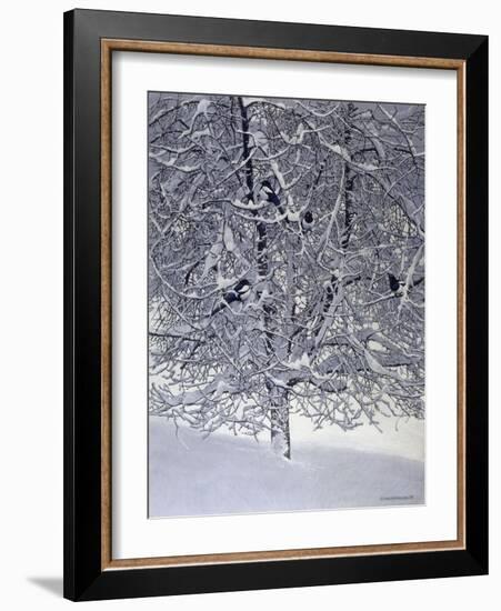 Snow Tree with Magpies-Harro Maass-Framed Giclee Print