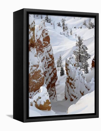 Snow, Trees, and Hoodoos, Bryce Canyon National Park, Utah, USA-James Hager-Framed Premier Image Canvas