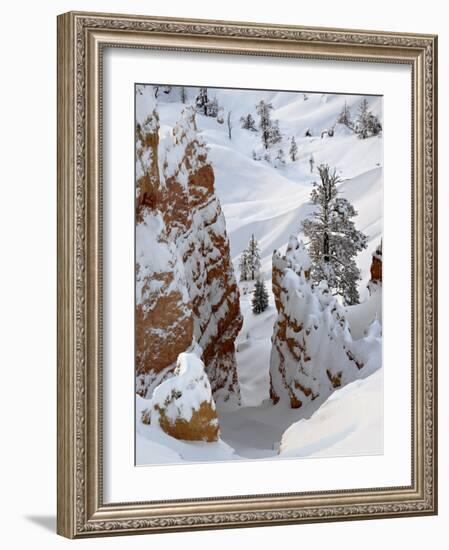 Snow, Trees, and Hoodoos, Bryce Canyon National Park, Utah, USA-James Hager-Framed Photographic Print