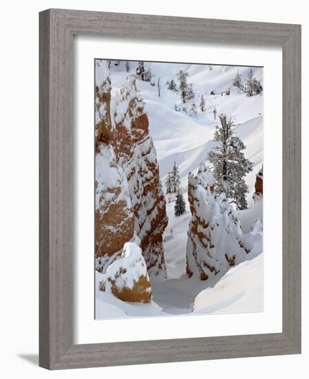 Snow, Trees, and Hoodoos, Bryce Canyon National Park, Utah, USA-James Hager-Framed Photographic Print