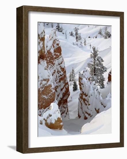 Snow, Trees, and Hoodoos, Bryce Canyon National Park, Utah, USA-James Hager-Framed Photographic Print