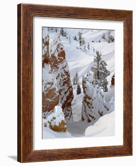 Snow, Trees, and Hoodoos, Bryce Canyon National Park, Utah, USA-James Hager-Framed Photographic Print