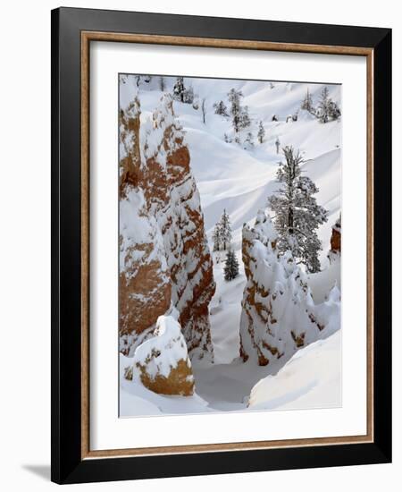 Snow, Trees, and Hoodoos, Bryce Canyon National Park, Utah, USA-James Hager-Framed Photographic Print