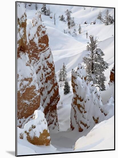 Snow, Trees, and Hoodoos, Bryce Canyon National Park, Utah, USA-James Hager-Mounted Photographic Print