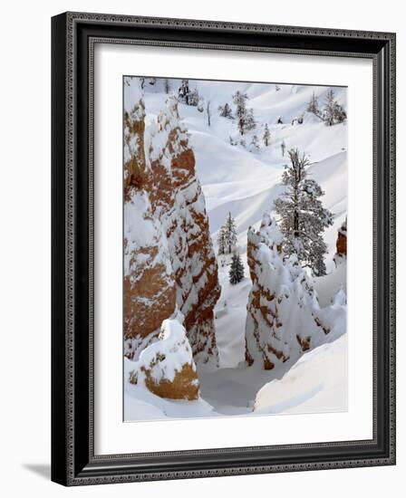 Snow, Trees, and Hoodoos, Bryce Canyon National Park, Utah, USA-James Hager-Framed Photographic Print