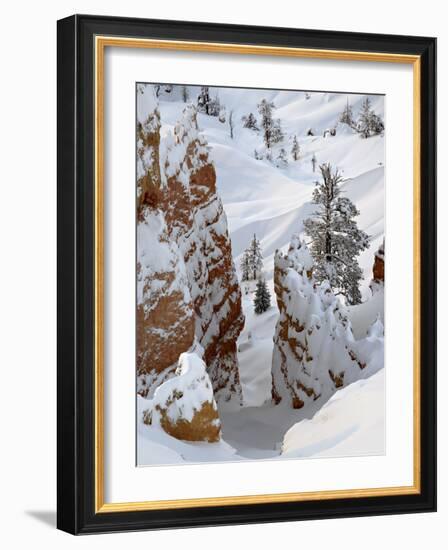 Snow, Trees, and Hoodoos, Bryce Canyon National Park, Utah, USA-James Hager-Framed Photographic Print