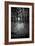 Snow Trees-Rory Garforth-Framed Photographic Print