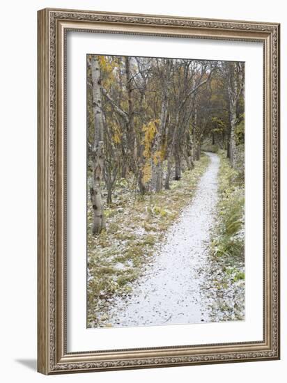 Snow Way 2-Moises Levy-Framed Photographic Print