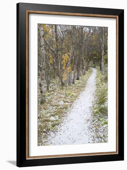 Snow Way 2-Moises Levy-Framed Photographic Print