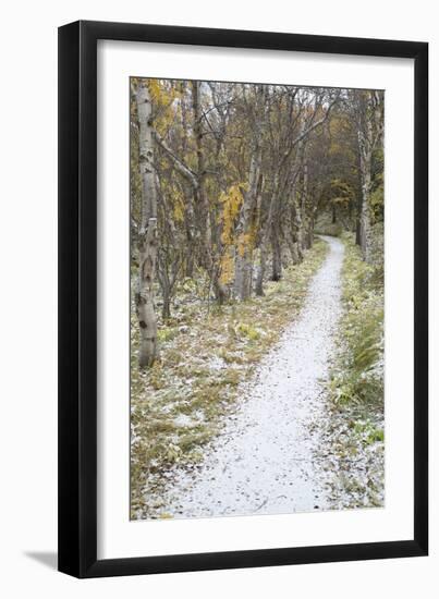 Snow Way 2-Moises Levy-Framed Photographic Print