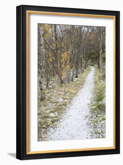 Snow Way 2-Moises Levy-Framed Photographic Print