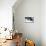 Snow, Wild Boar-Reiner Bernhardt-Mounted Photographic Print displayed on a wall