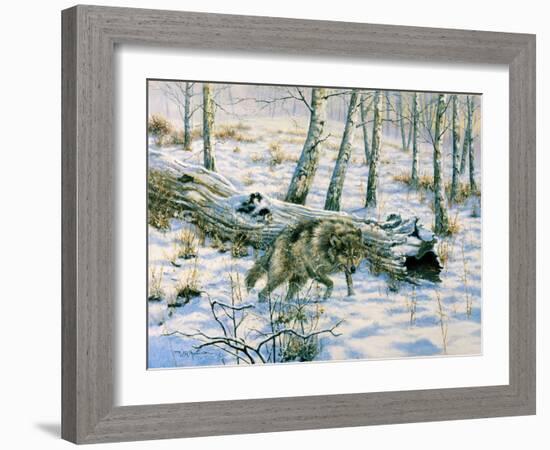 Snow Wolf-Bill Makinson-Framed Giclee Print