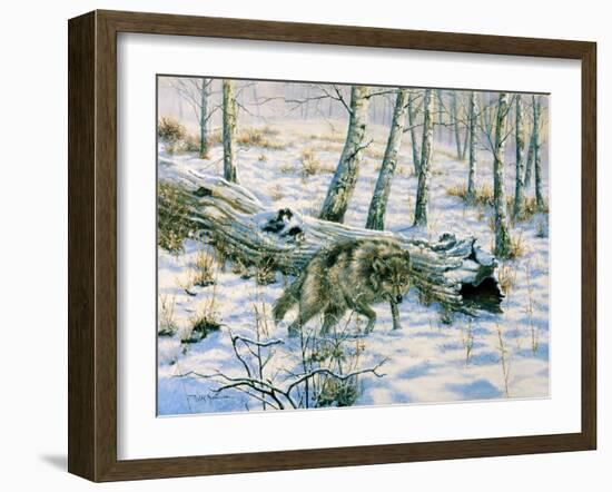 Snow Wolf-Bill Makinson-Framed Giclee Print