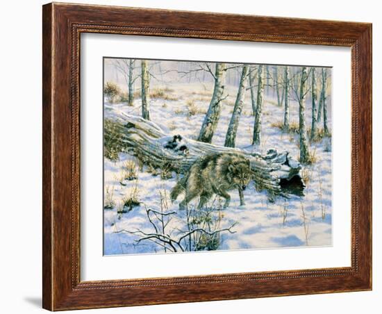 Snow Wolf-Bill Makinson-Framed Giclee Print