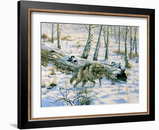 Snow Wolf-Bill Makinson-Framed Giclee Print