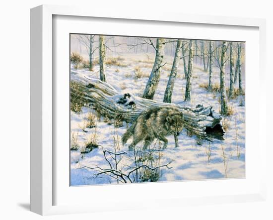 Snow Wolf-Bill Makinson-Framed Giclee Print