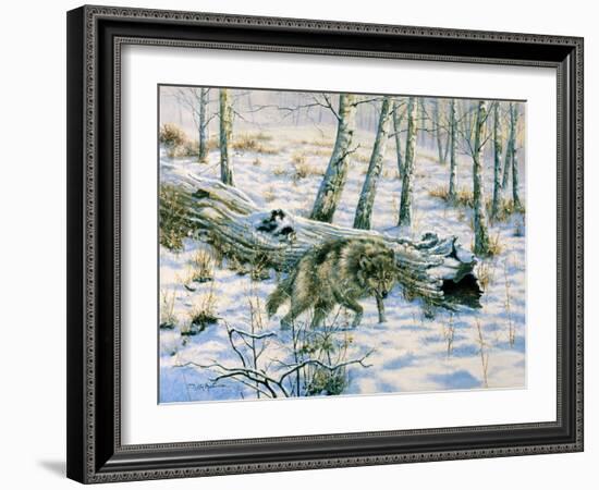 Snow Wolf-Bill Makinson-Framed Giclee Print