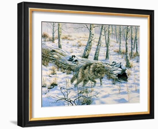 Snow Wolf-Bill Makinson-Framed Giclee Print