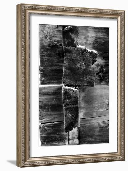 Snow Wood-Craig Howarth-Framed Photographic Print