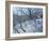 Snowball Fight, 2007-Andrew Macara-Framed Giclee Print