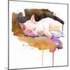 Snowball Sleeping, 2014-John Keeling-Mounted Giclee Print