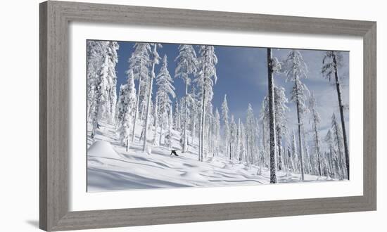 Snowboarder Carving in the Whitefish Range, Stryker Ridge, Montana-Steven Gnam-Framed Photographic Print