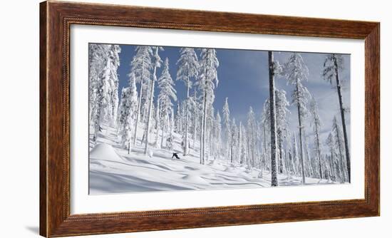 Snowboarder Carving in the Whitefish Range, Stryker Ridge, Montana-Steven Gnam-Framed Photographic Print