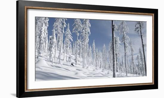 Snowboarder Carving in the Whitefish Range, Stryker Ridge, Montana-Steven Gnam-Framed Photographic Print