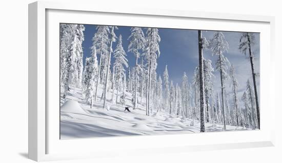 Snowboarder Carving in the Whitefish Range, Stryker Ridge, Montana-Steven Gnam-Framed Photographic Print